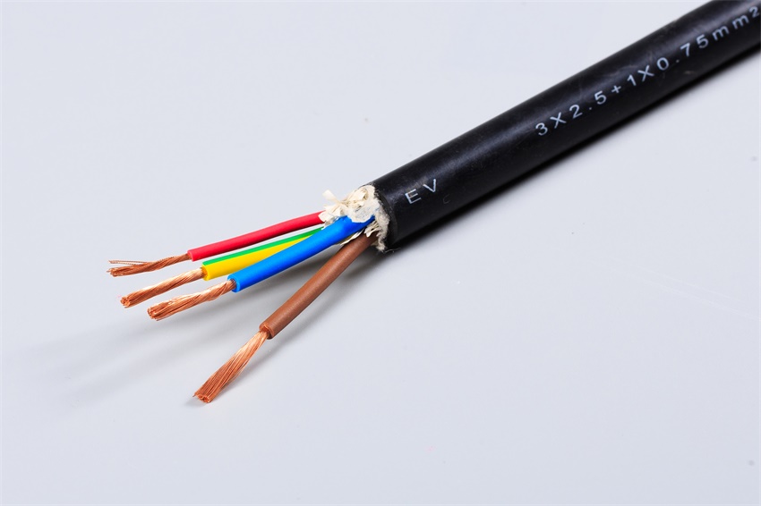 EV����Դ��܇��